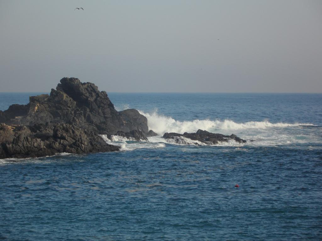 Apartmán Vista Y Mar Valparaíso Exteriér fotografie